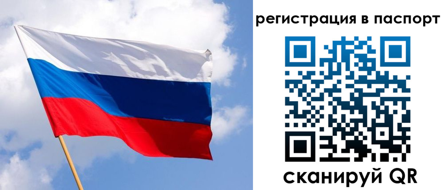 прописка для школы в Новокуйбышевске